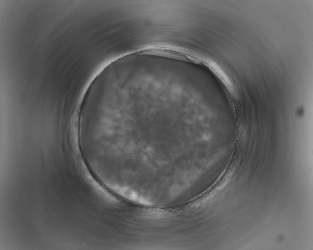 X0000116871100201001121256