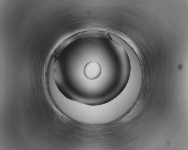 X0000116871101201001121256