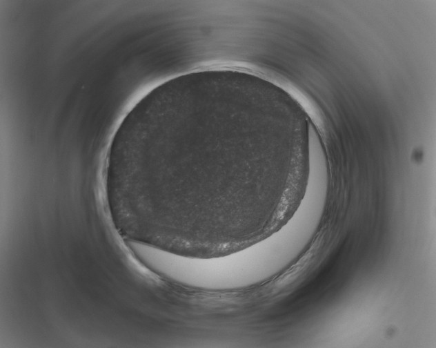 X0000116871102201001121256