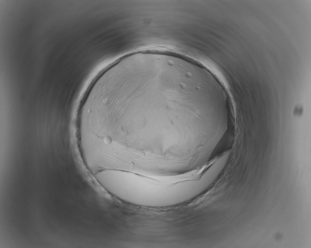 X0000116871104201001121256