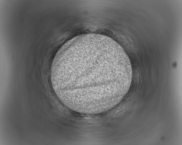 X0000116871105201001121256