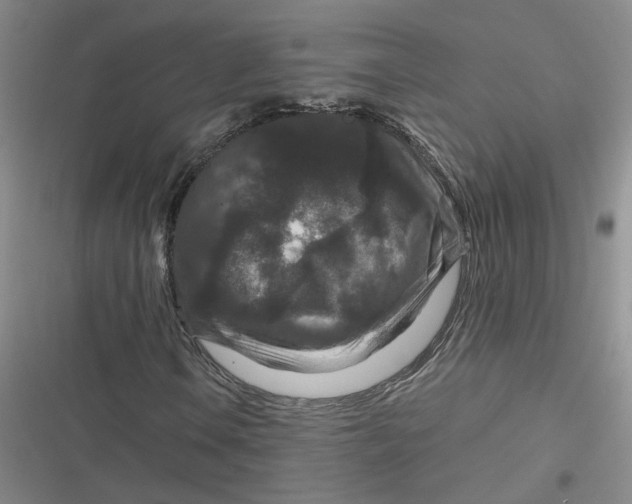 X0000116871106201001121256