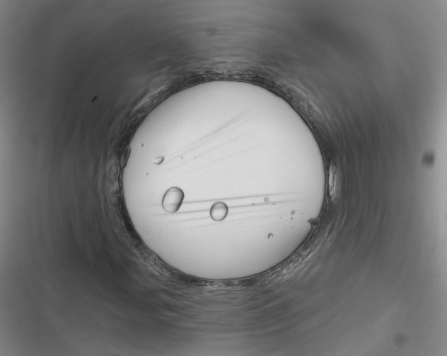 X0000116871107201001121256