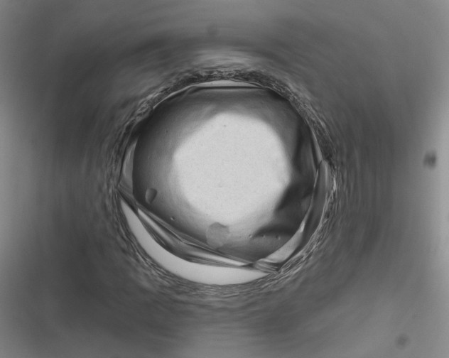 X0000116871109201001121256