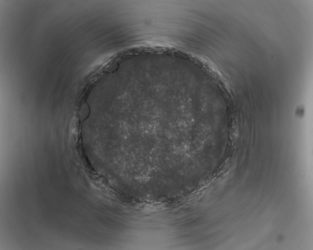 X0000116871110201001121256