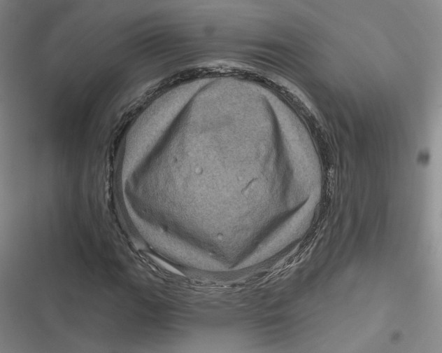 X0000116871111201001121256