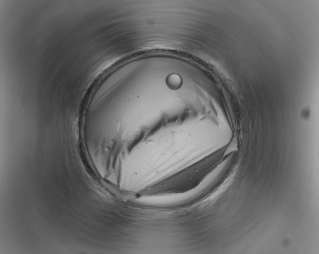 X0000116871113201001121256