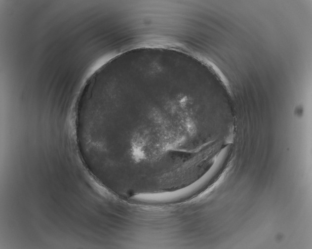 X0000116871114201001121256