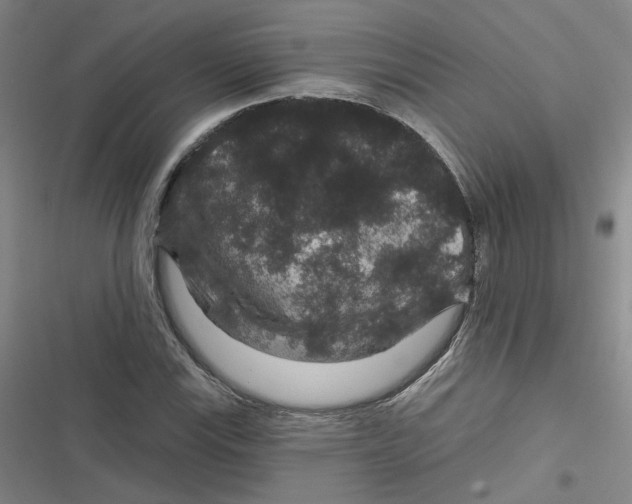 X0000116871115201001121256