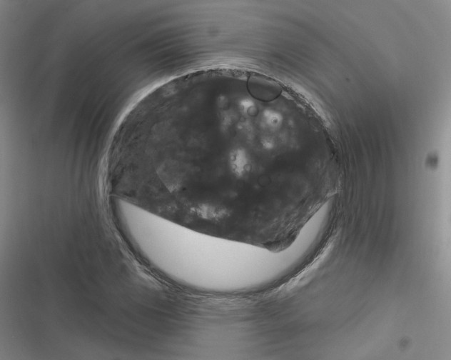 X0000116871117201001121256