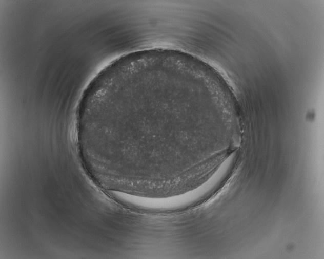 X0000116871118201001121256