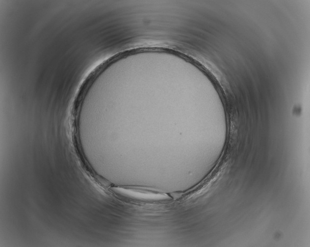 X0000116871119201001121256