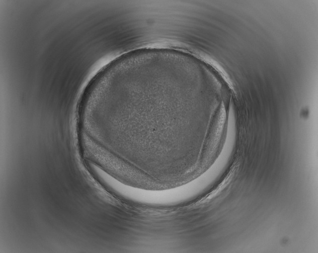 X0000116871122201001121256