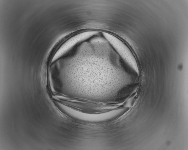 X0000116871123201001121256