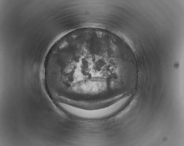 X0000116871125201001121256