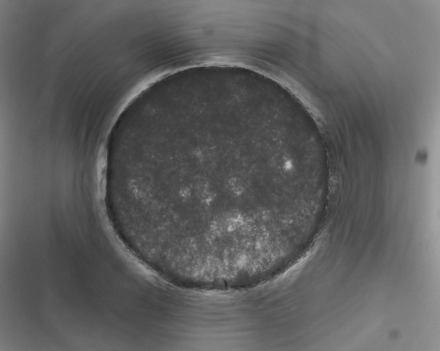 X0000116871126201001121256