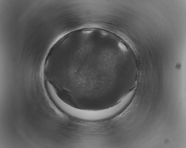 X0000116871127201001121256