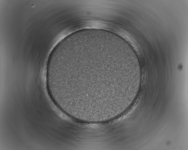 X0000116871130201001121256