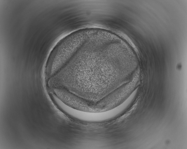 X0000116871133201001121256