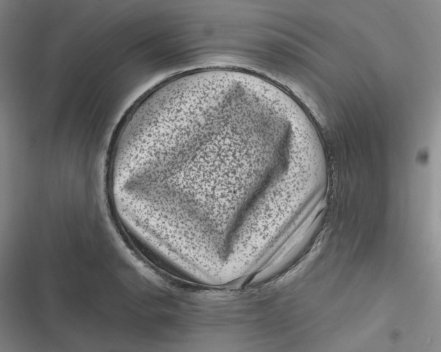 X0000116871134201001121256