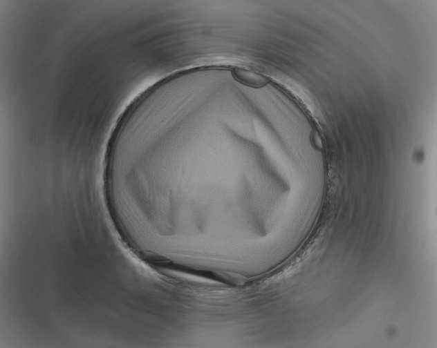 X0000116871135201001121256