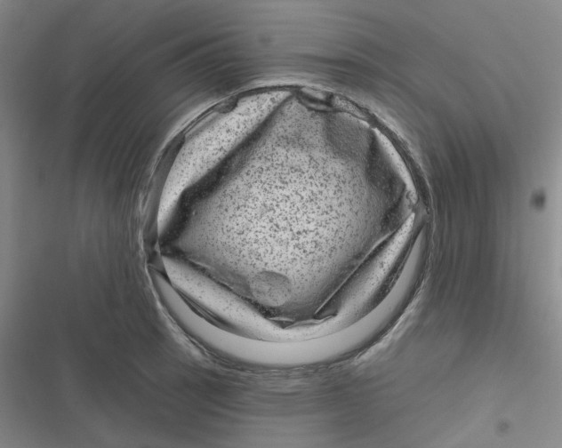 X0000116871137201001121256