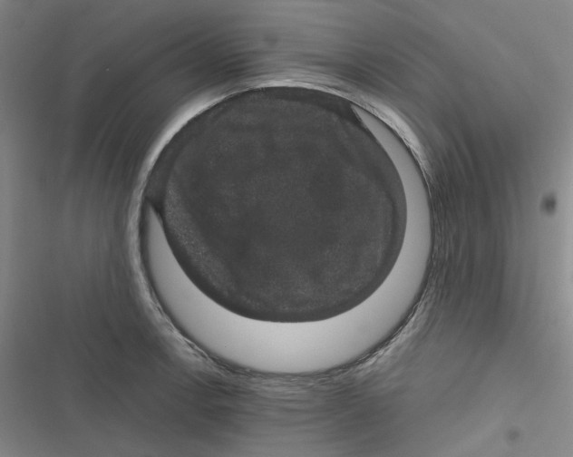 X0000116871138201001121256