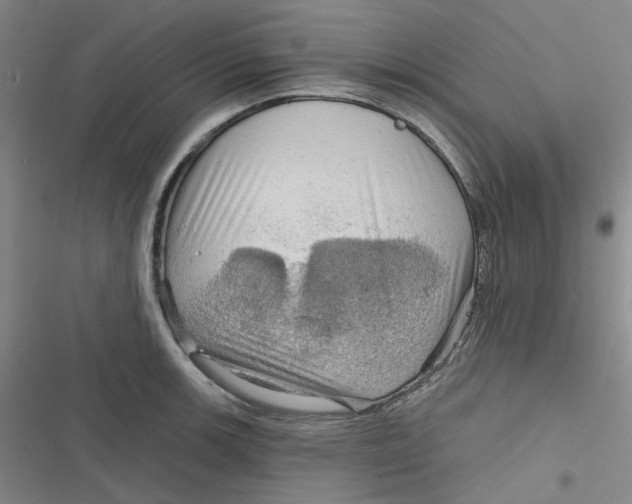 X0000116871139201001121256