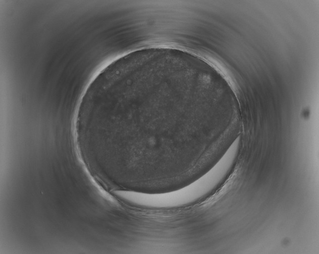 X0000116871141201001121256