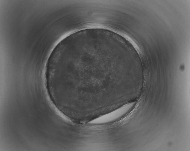 X0000116871142201001121256