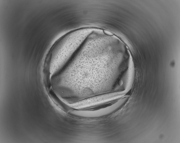 X0000116871143201001121256