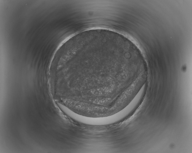 X0000116871145201001121256