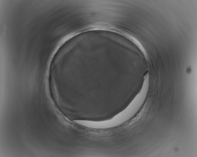 X0000116871146201001121256