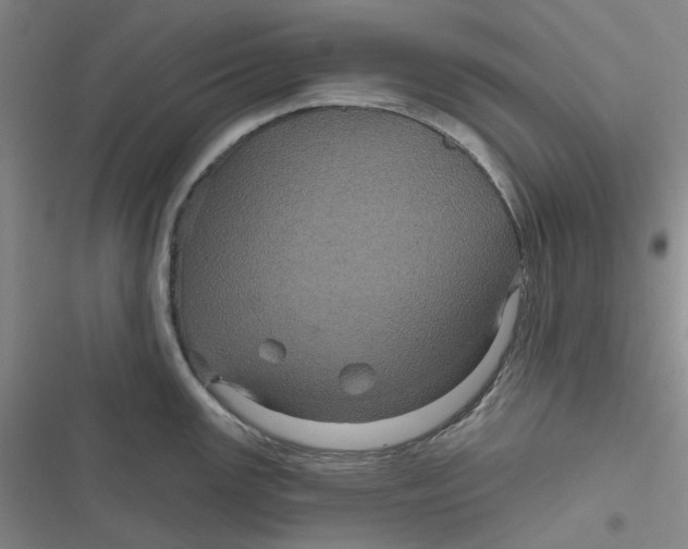 X0000116871147201001121256