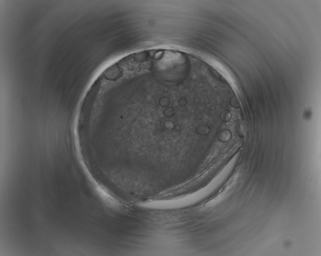 X0000116871149201001121256