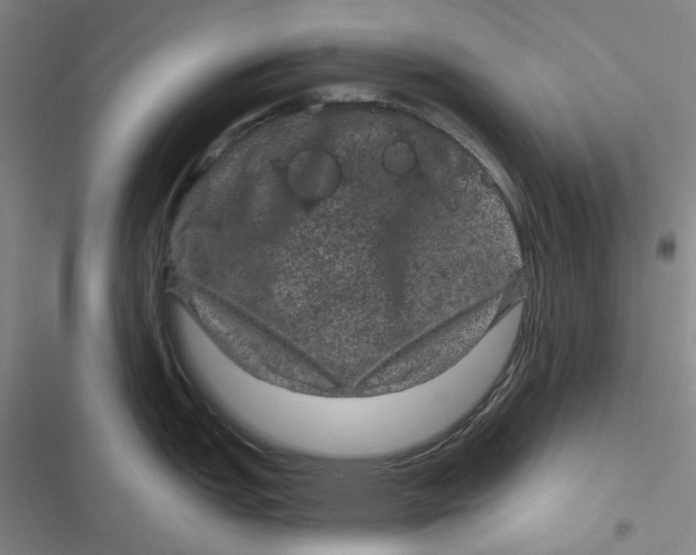 X0000116871151201001121256