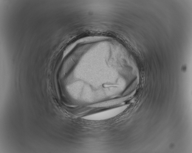 X0000116871153201001121256