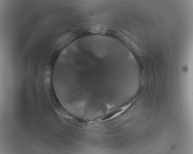 X0000116871154201001121256