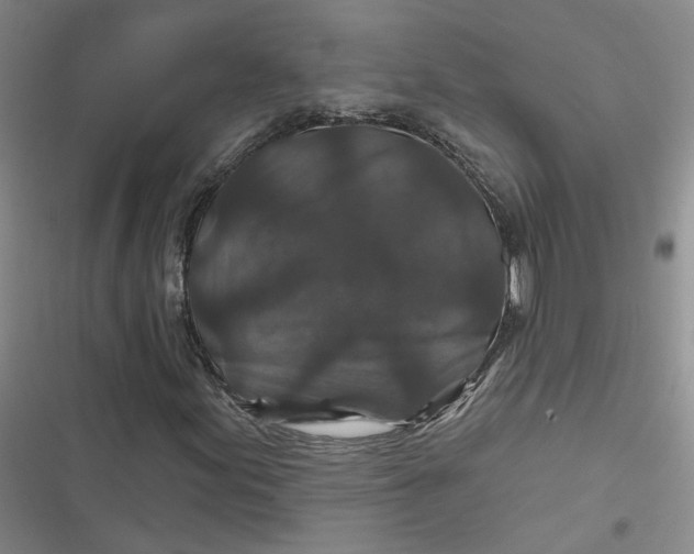 X0000116871155201001121256