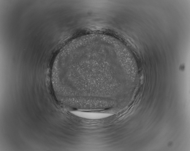 X0000116871156201001121256