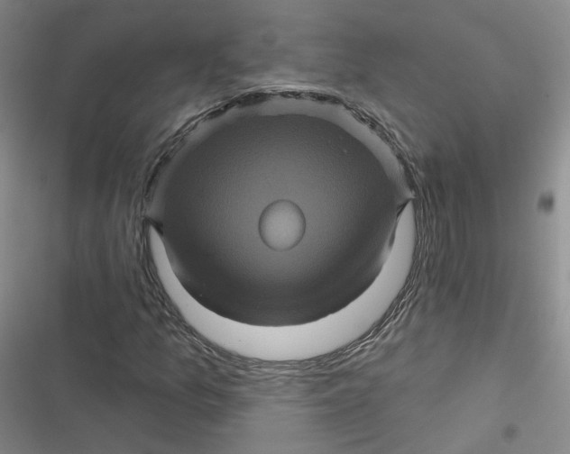 X0000116871157201001121256