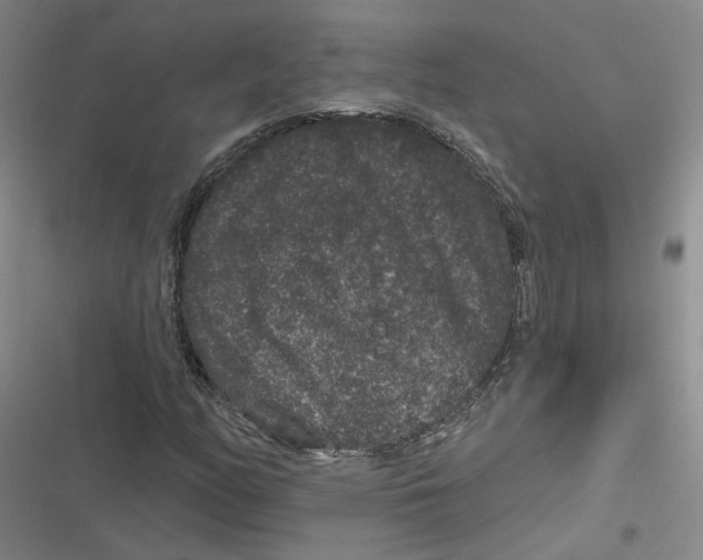 X0000116871158201001121256