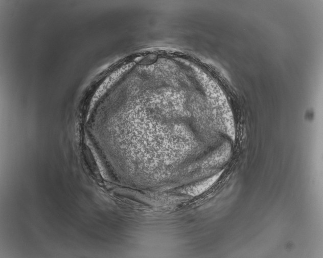 X0000116871159201001121255