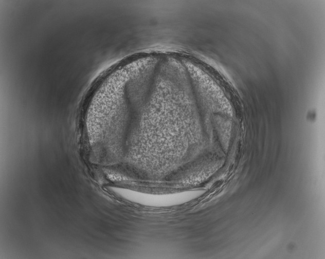 X0000116871160201001121255