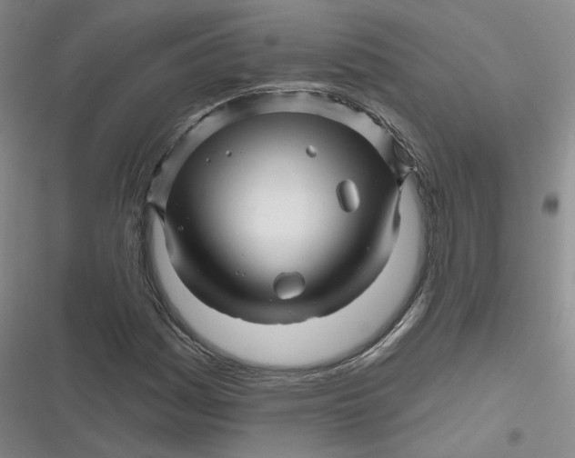 X0000116871161201001121255