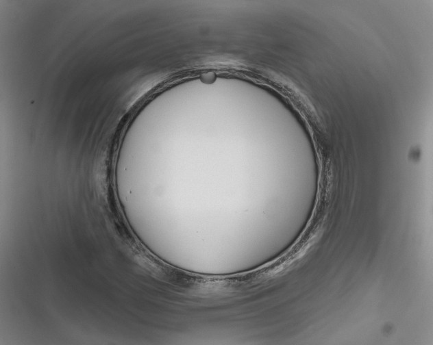 X0000116871162201001121255