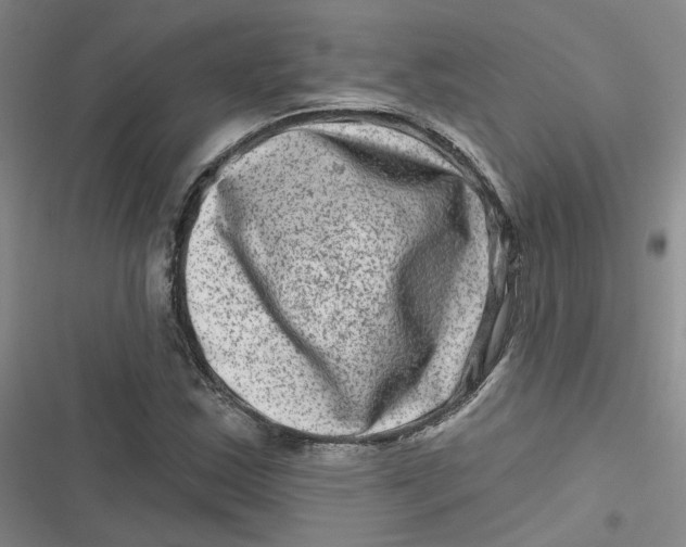 X0000116871163201001121255