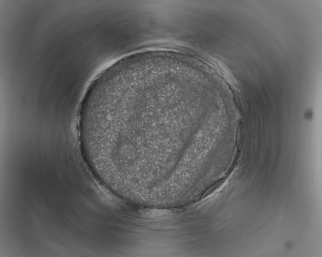 X0000116871164201001121255