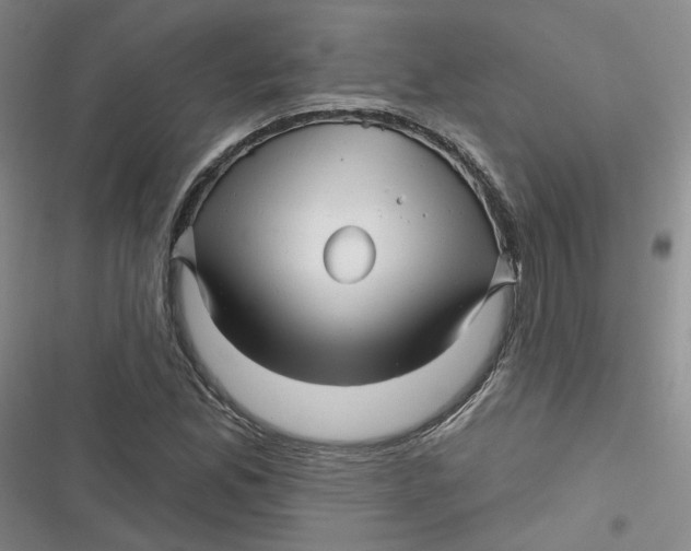 X0000116871165201001121255