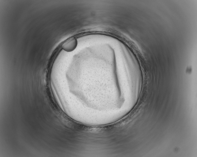 X0000116871166201001121255